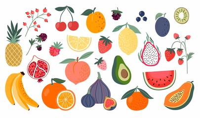 Wall Mural - Different fruits collection, doodle style, isolated on white