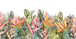 Endless horizontal border with tropical palm leaves, heliconia and strelitzia flowers.