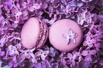  Two lilac macaroons on lilac flowers. Delicious dessert. Flat lay style