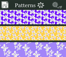 Wall Mural - Botanic patterns. set of flowers