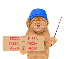 Poster - Smiling pizza delivery puppy wearing red cap holds pizza boxes and points away on empty space. isolated on white background