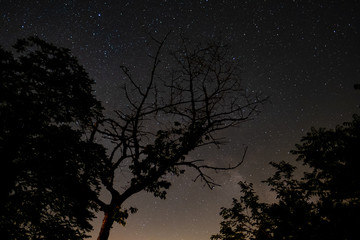 Night sky