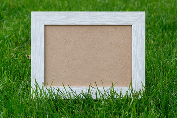 Wall Mural - Empty Picture Frame Laying on Green Grass