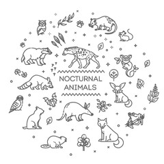 Wall Mural - Vector. Set of linear vector nocturnal animals