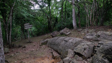 Gigant Petrified Tree At Puganyo Petrified Forest, Ecuador