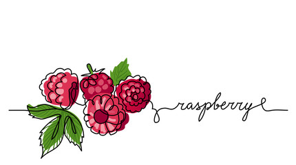 Poster - Raspberry vector color illustration, background, sketch banner for label design. One continuous line drawing of raspberry with lettering. Editable black stroke.