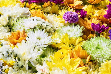 Beautiful autumnal yellow flowers background. Colorful chrysanthemum flowers. Top view