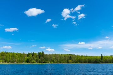 Poster -  landscape with sky with water and clouds with forest on the horizon