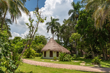 Wall Mural - View of a bungalow in the tropical vegetation of Chichen  Itza Park (Yucatan, Mexico).