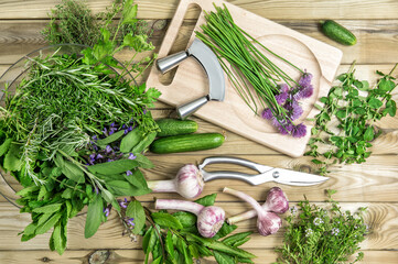 Sticker - Fresh herbs vegetables Food background Basil parsley garlic