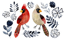 Male And Female Cardinal Birds Watercolor Hand Drawn Illustration. Two Cardinals With Floral Elements Great For Greeting Cards Illustration Set.