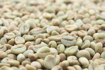 close-up of raw green coffee beans