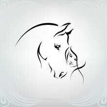 Silhouette Of The Girl And Horse
