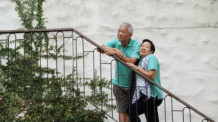 Wall Mural - Happy vacation trip for Asian elderly couple resort wood stair with green vine plant