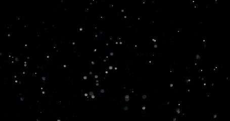 Wall Mural - many snow particles falling down on a dark winter night