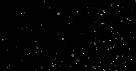 Wall Mural - several snow particles falling down over a black background