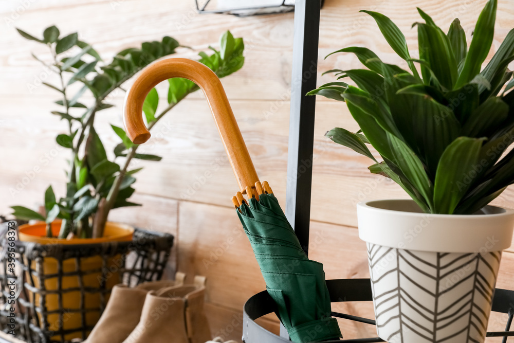 Stylish umbrella in interior of hall