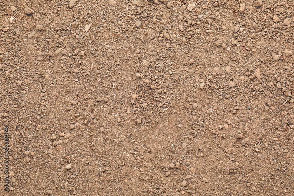 Texture of soil as background