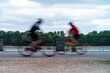 Zwei Radfahrer an der Rheinpromenade in Bonn