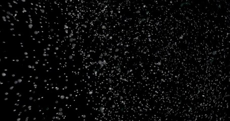 Wall Mural - snow storm at night. it shows the snowflakes falling from the sky against the black background