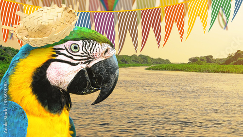 Cuadros en Lienzo Brazilian Festa Junina party concept at the nature