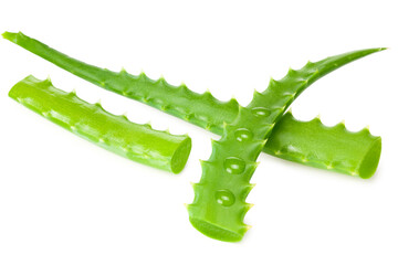 Aloe vera with slices isolated on a white background