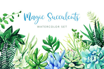 Wall Mural - Cactus and succulents plants, horizontal background, hand drawn