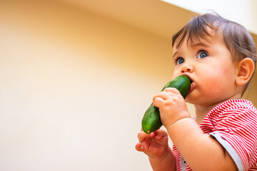 Little baby cute infant toddler eat first supplement vegan food - green cucumber.