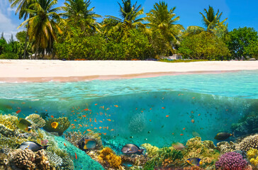 Canvas Print - Beautiful sunny tropical beach on the island paradise in the middle of the sea