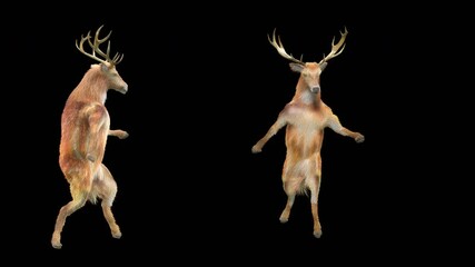 Wall Mural - deer dance cg fur 3d rendering animal realistic cgi vfx animation loop composition 3d mapping cartoo