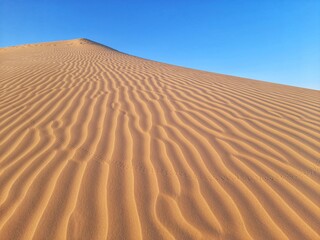 Canvas Print - Sahara desert of Algeria