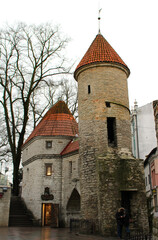 Wall Mural - View of the old buildings of Tallinn.