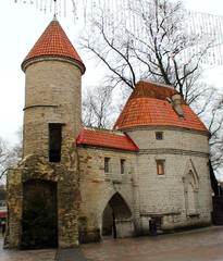 Wall Mural - View of the old castle of Tallinn.