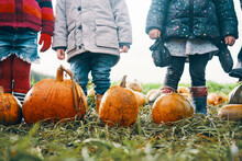 Three Children's Legs Standing Close To Pumpkins In A Field.