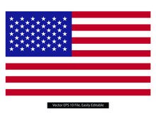 Vector Image Of American Flag. USA Colored Flag Flat Vector.