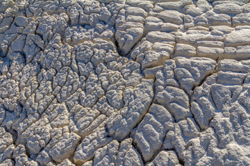 Wall Mural - fissured loam detail