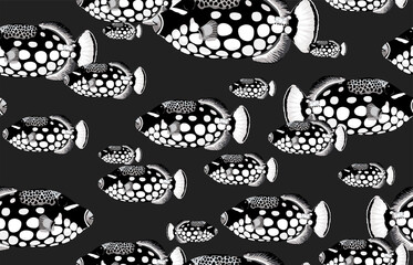 Poster - Seamless marine sea pattern.