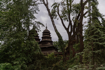 Old wooden church with tiles in a deep forest, trees, ivy