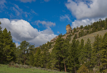 mountain landscape with trees and clouds