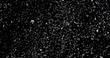 Wall Mural - snow rain falling from the sky at night. as the white particles fall against the isolated black back
