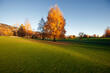 Autumn trees in park located in Oslo Norway