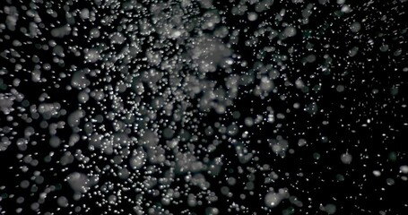 Wall Mural - falling snowflakes showcases infinite snowflakes falling over a black background. magical and myster