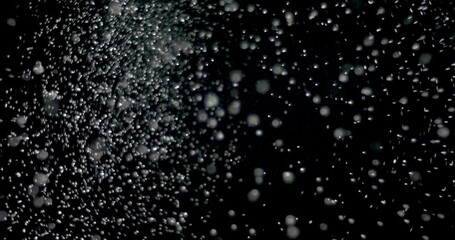 Wall Mural - fast-moving falling snowflakes. perfect for a blizzard vfx shot. moving in different directions with