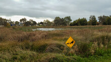 Duck Sign Amidst Wetlands Bordering Suburbia