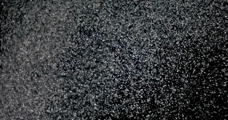 Wall Mural - blizzard of snow at night. it shows the white flakes moving fast on the isolated black background.