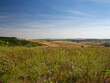 Summer landscape in South Moravia, Czehc republic