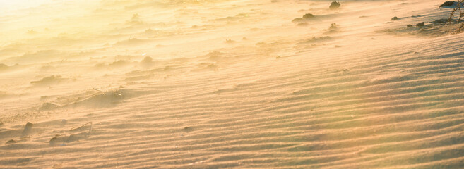 Wall Mural - Sand dunes in the desert. Global warming