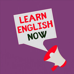 Poster - Text sign showing Learn English Now. Business photo text gain or acquire knowledge and skill of english language Megaphone and Blank Bordered Square Speech Bubble Public Announcement