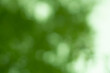 © UPictures - Abstract green bokeh defocused natural background
