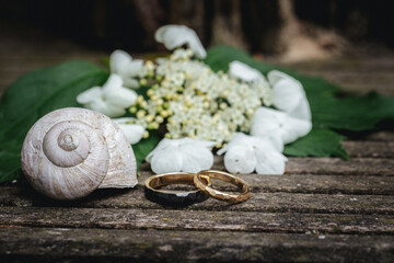 Wall Mural - Beautiful wedding rings close up